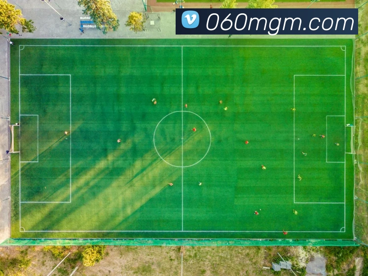 美高梅mgmAPP 高清赛事图